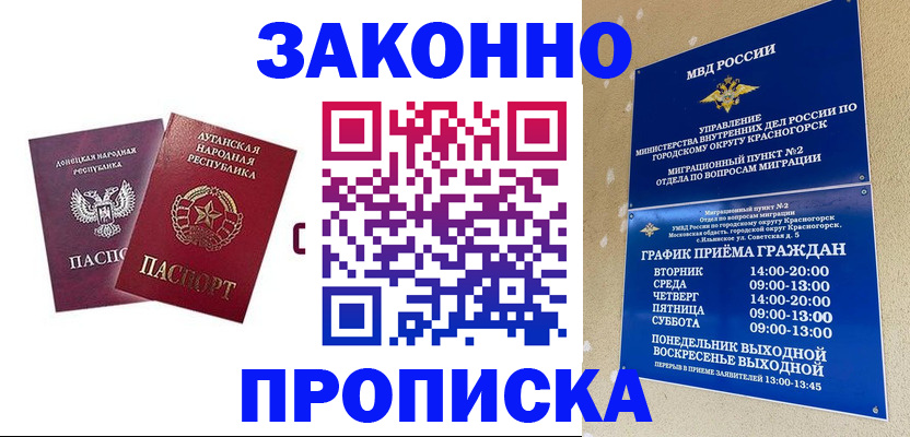 прописка в Котельниче